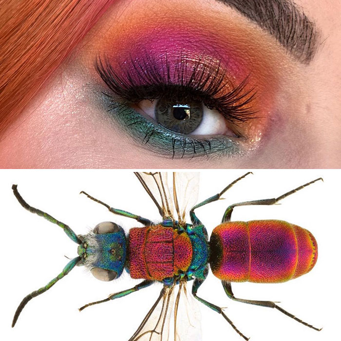 Bug-Inspired-Eye-Makeup-Duran-Jay-Entomakeup