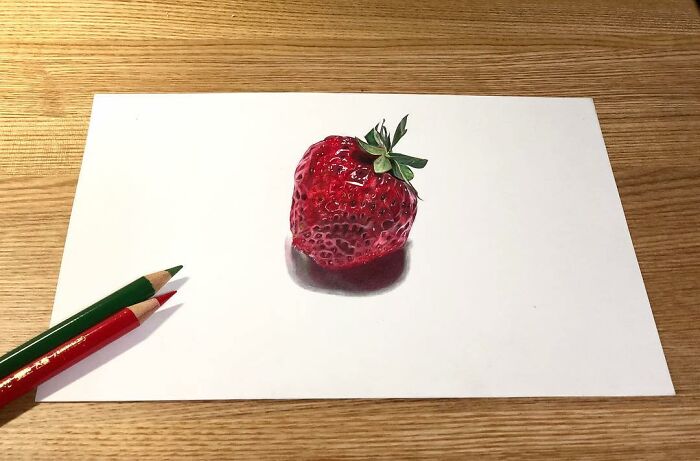 Artist Materializes Everyday Objects And Transforms Them Into Incredible 3D Drawings (29 Pics)