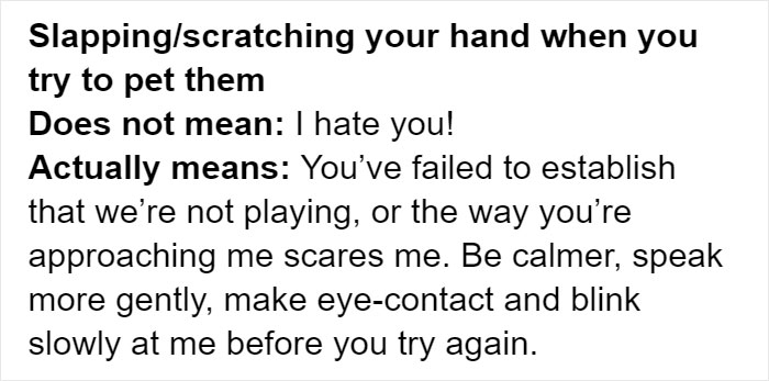 Cat Rescuer Explains How Cat Social Behavior Is Often Misinterpreted By ‘Dog People’ Cat Rescuer Explains How Cat Social Behavior Is Often Misinterpreted By ‘Dog People’