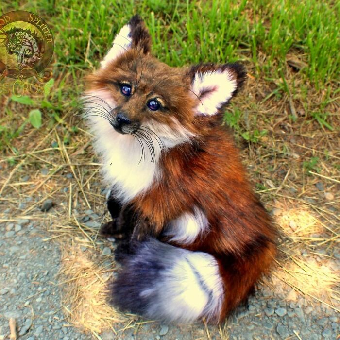 Meet Lee Cross's "Living" Sculptures (135 Pics)