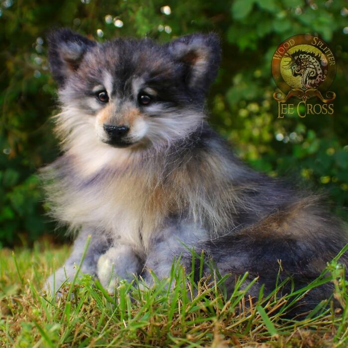 Meet Lee Cross's "Living" Sculptures (135 Pics)