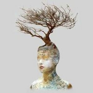 mickelsrebecca avatar