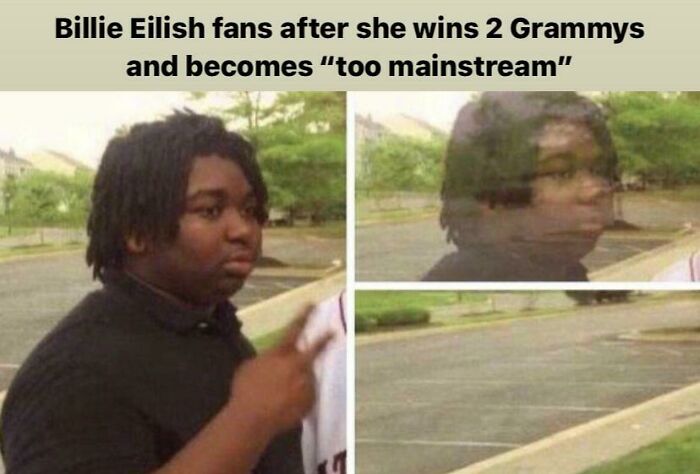 Not Like The Other Billie Eilish Fans