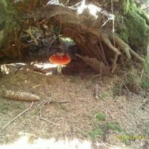 schlegel-rebecca avatar