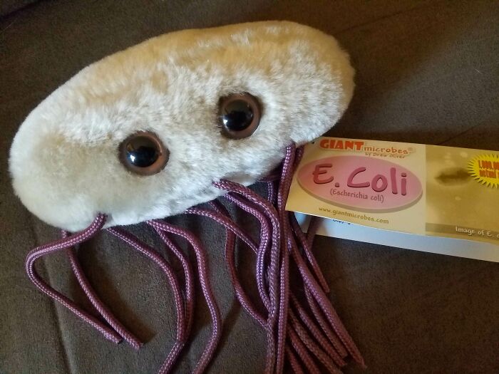 I Got E. Coli From A Dumpster