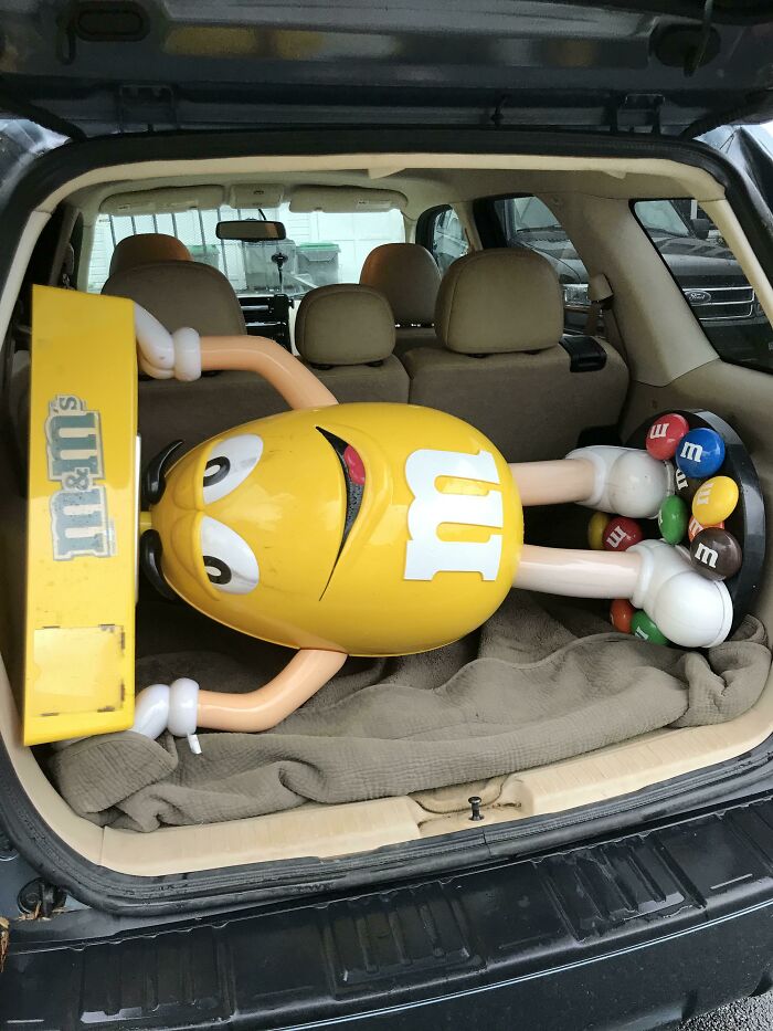 Pulled This Out Of A CVS Dumpster At My Little (14 & 17) Sisters Request. They Want To Use Him As Decoration