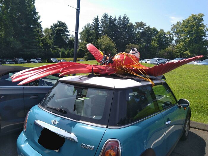 Update On Bird: I Did It. He Was Where I Left Him When I Came Back. He Flew! It Was A Spectacle