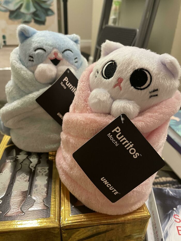 Probably The Cutest Things I’ve Pulled Out Of A B&n Dumpster