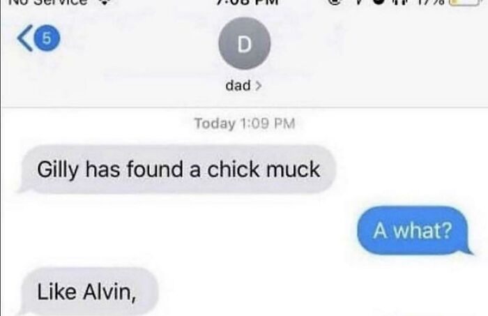 Wonder What Happened To The Chick Muck