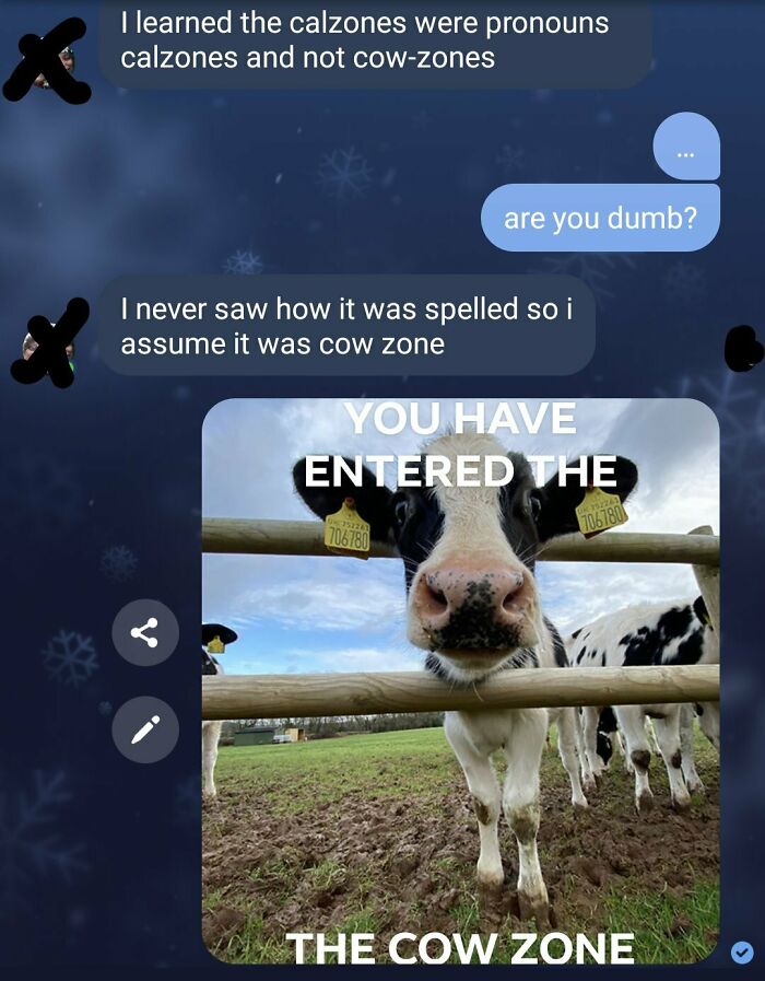 Cow Zone