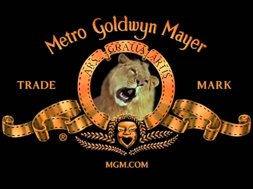 Hey Pandas! Today Is The International Lion Day. Let’s Celebrate With A Bit Of Culture! Hey Pandas! Today Is The International Lion Day. Let’s Celebrate With A Bit Of Culture!