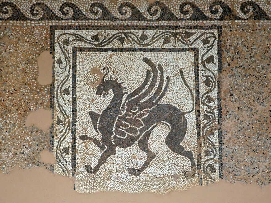 Hey Pandas! Today Is The International Lion Day. Let&rsquo;s Celebrate With A Bit Of Culture!