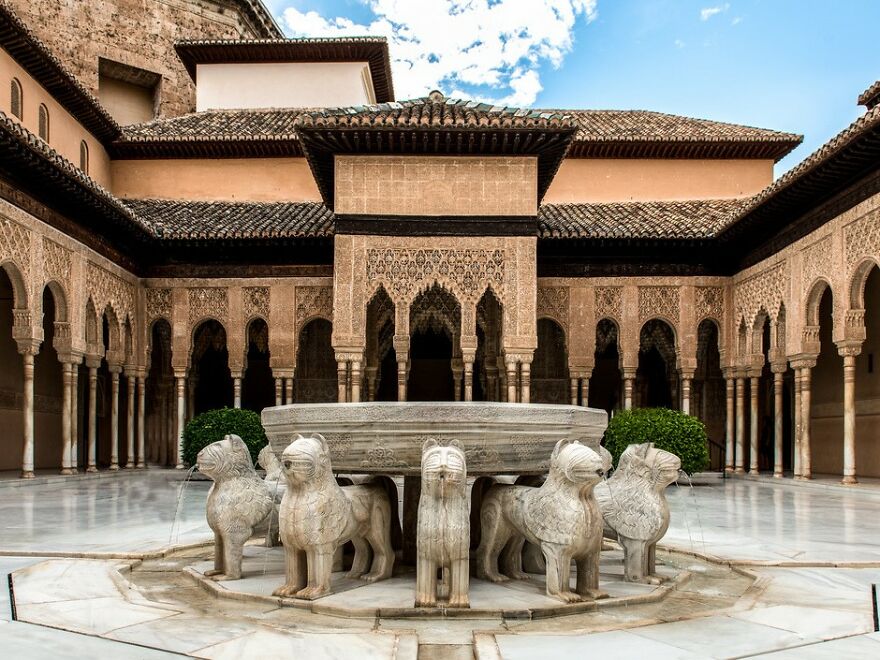 Hey Pandas! Today Is The International Lion Day. Let’s Celebrate With A Bit Of Culture! Hey Pandas! Today Is The International Lion Day. Let’s Celebrate With A Bit Of Culture!