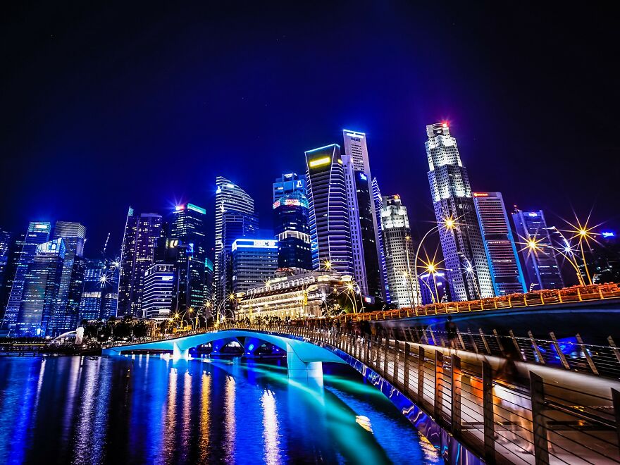 Hey Pandas! Today Is The International Lion Day. Let’s Celebrate With A Bit Of Culture! Hey Pandas! Today Is The International Lion Day. Let’s Celebrate With A Bit Of Culture!