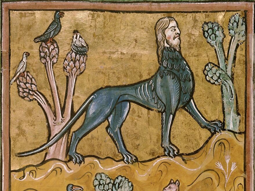 Hey Pandas! Today Is The International Lion Day. Let&rsquo;s Celebrate With A Bit Of Culture!