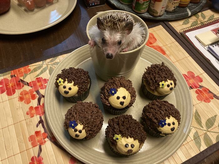 It’s My 6th Bday, Partying With My Buds