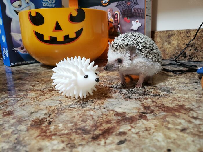 There Is 1 Imposter Among Us