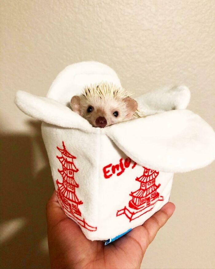 I Ordered The Spikiest Bao On The Menu