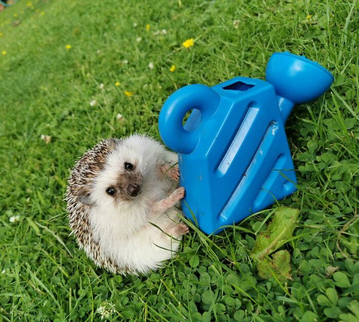 Starlord Says "Always Remember To Water Your Plants"