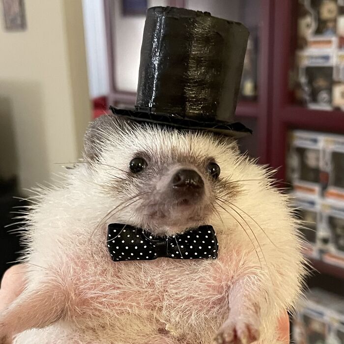 Look At My Handsome Boy