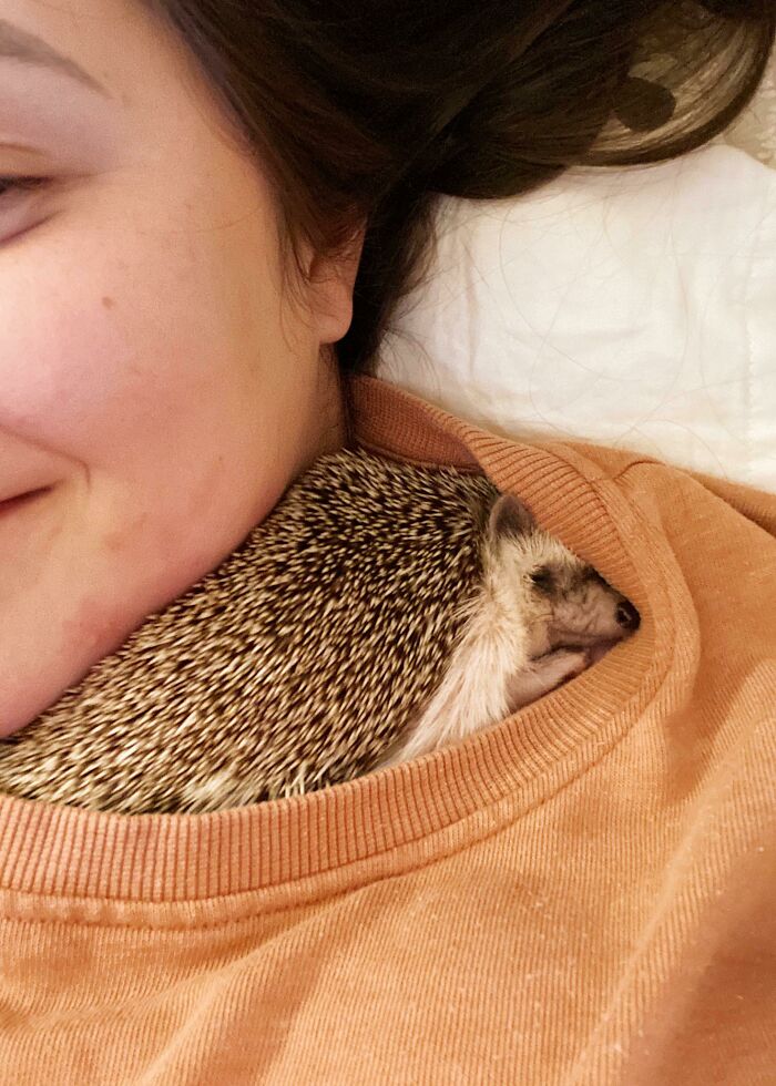 Have You Ever Seen A Sweeter Nugget?