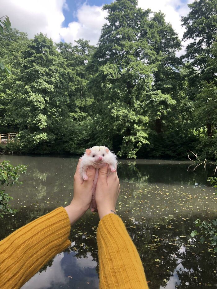 He’s The Prettiest View