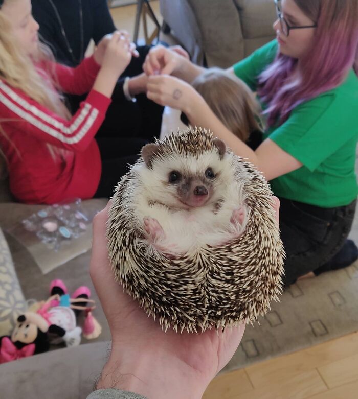 Jerry Loves A Good Bday Party