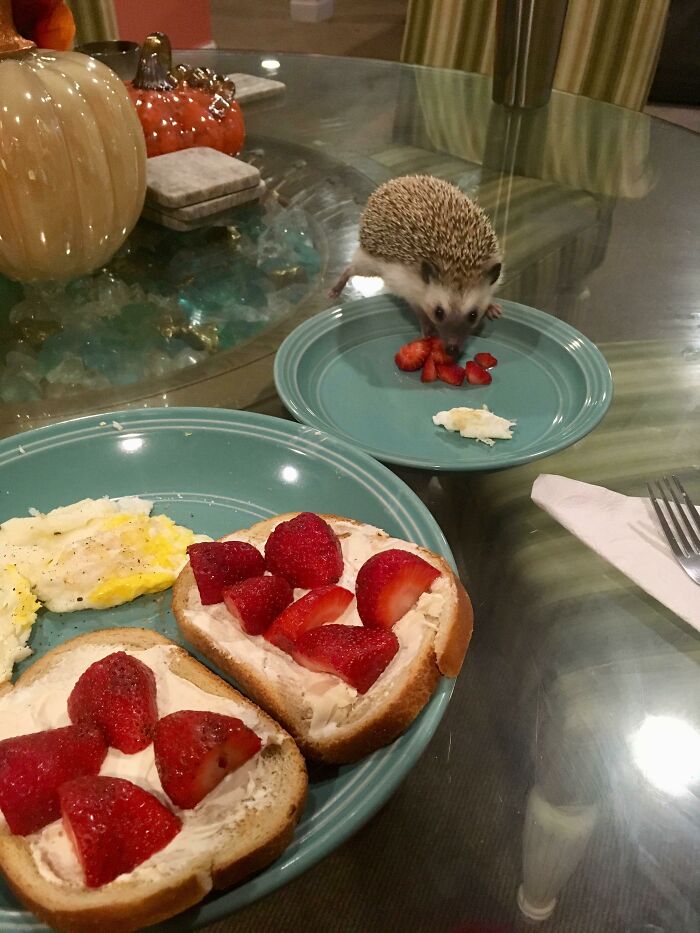 Saturdays Are For Breakfast With My Girl