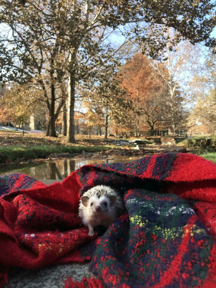 Basil Is 3 Months Old Today