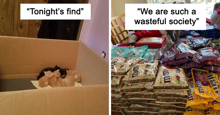 50 Times People Couldn’t Believe Their Luck While Dumpster Diving