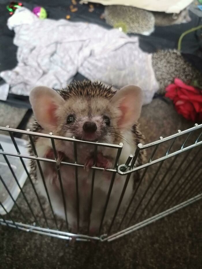 Is It Safe To Go Outside Yet?