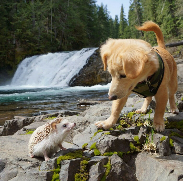 I Wish All Hikes Were Like This