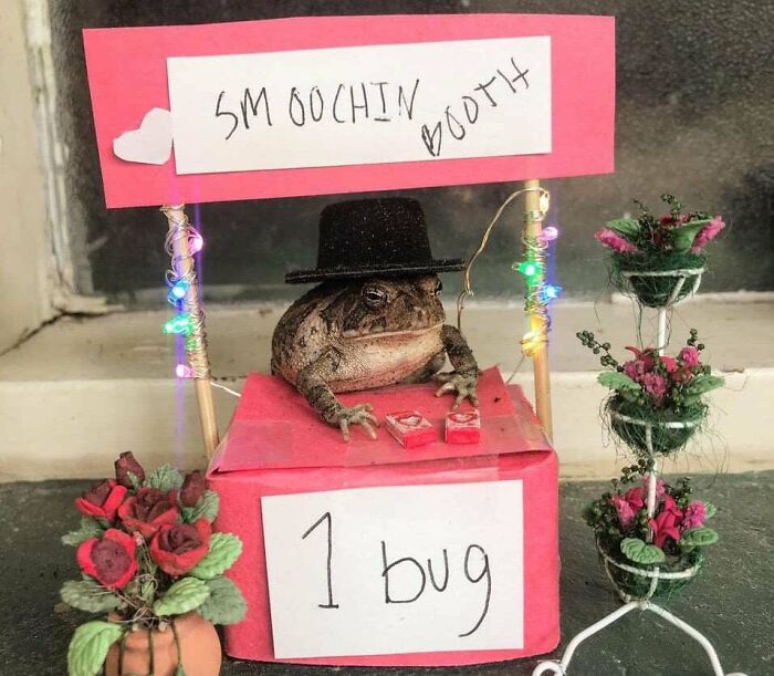 All The Smooches Pls