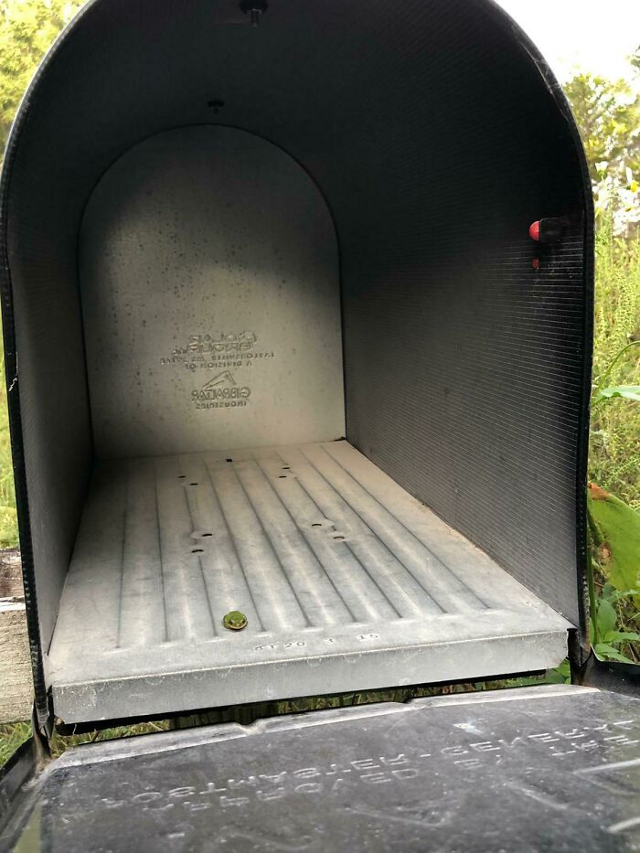 Leetle Frog Delivery