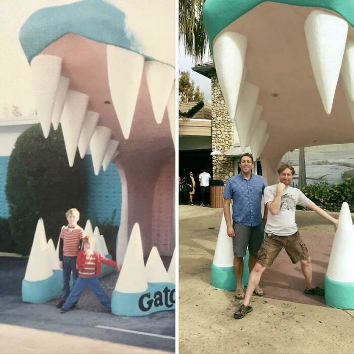 Gatorland Zoo In Florida.