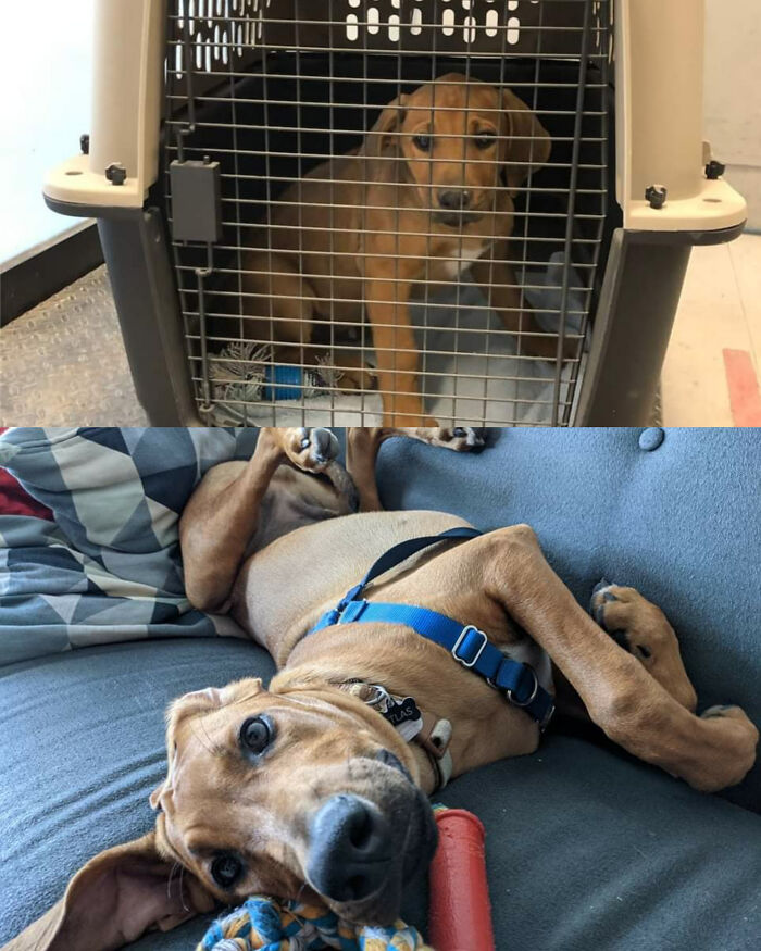 I Am So Unbelievably Lucky To Have Him