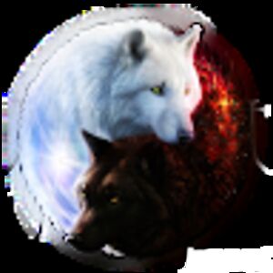 serennalangenegger avatar