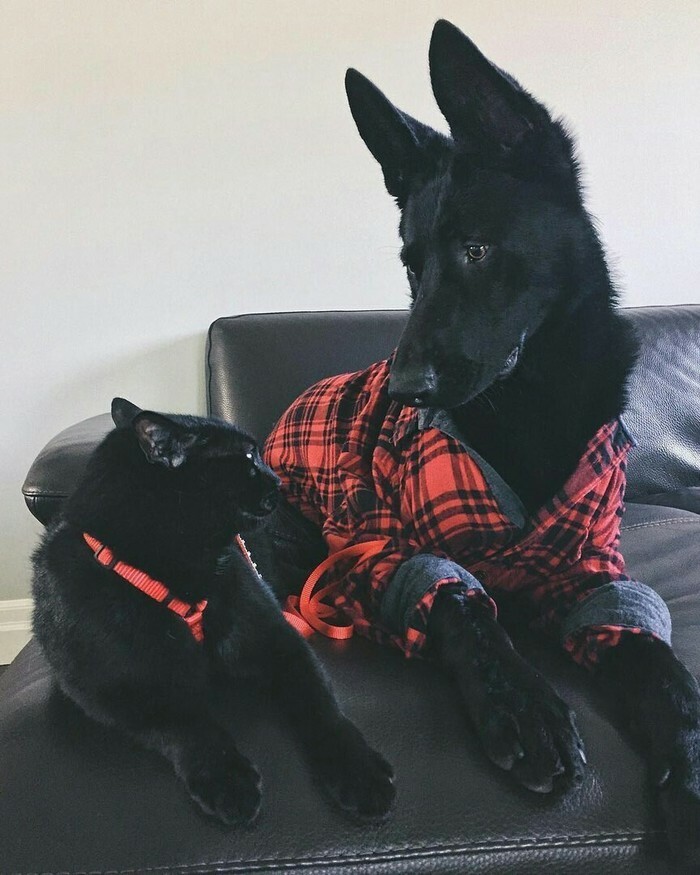 Brother From Another Mother