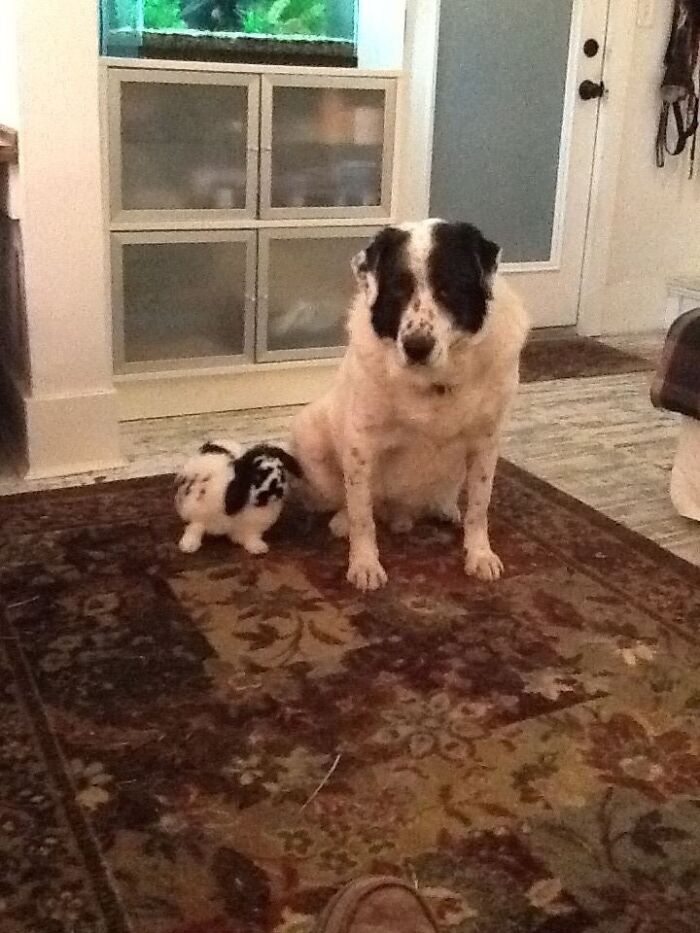 People Get Us Confused All The Time