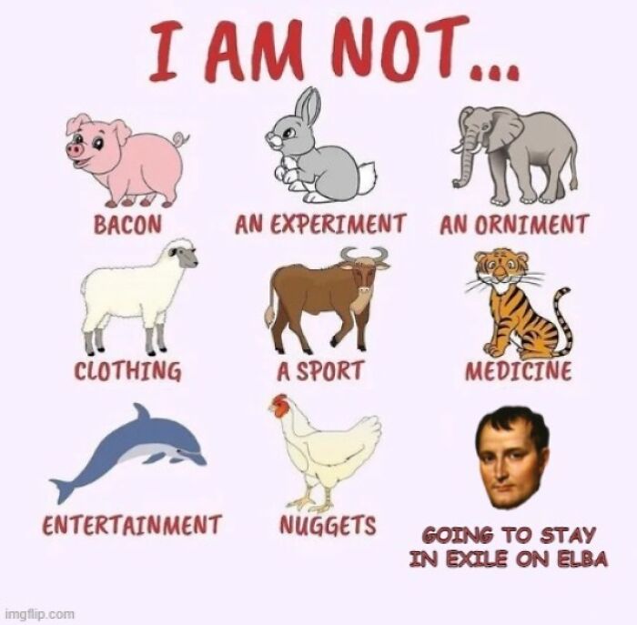 Don't Worry, Napoleon Will Only Be Around For 100 Days Or So; Nothing To Worry About