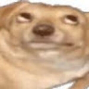 savannahfinn_1 avatar