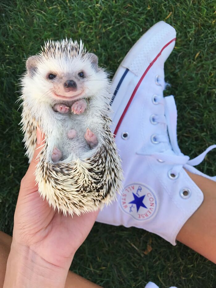 When Your Double Chin Looks Like A Mouth