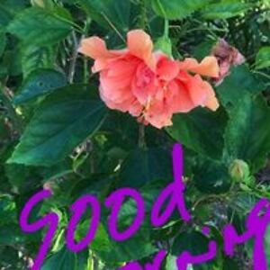 pugazh_pugazh avatar