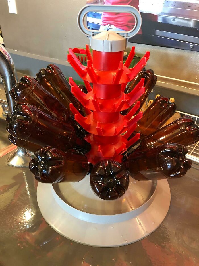A "Tree" For Drying Bottles Are The Homebrewing Shop