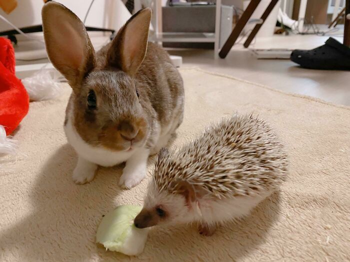 Friendship Is Being Completely Different And Exactly Alike At The Same Time