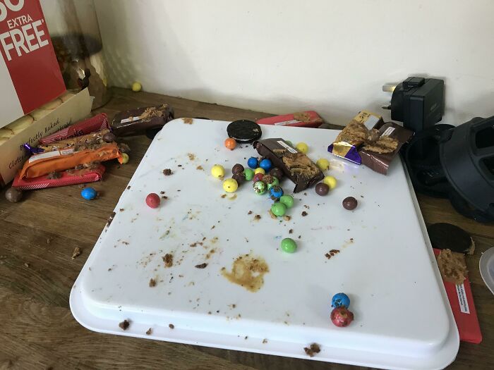 Birthday Girl Left The Lid Off The Cake Box. The Dogs Thoroughly Enjoyed The Chocolate Bar Piñata Cake I Spend 2 Hours Making, No One Else Got A Crumb