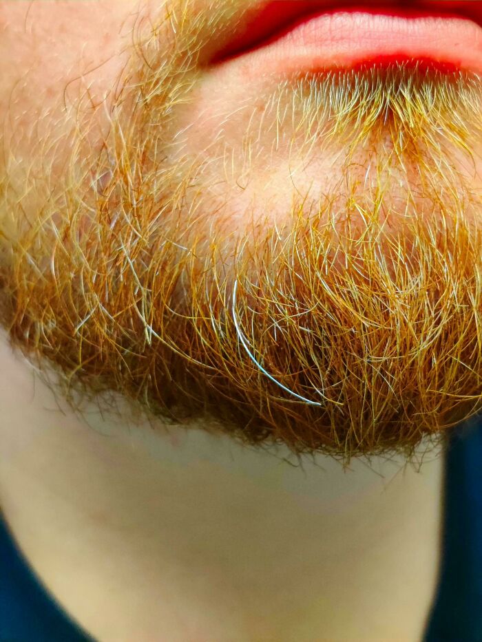 Closing In On My 30th Birthday, And Starting To Get That Good Ol' Santa Claus Beard