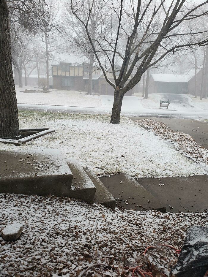 2 Days Ago It Was 65 Degrees. Today Is My Birthday