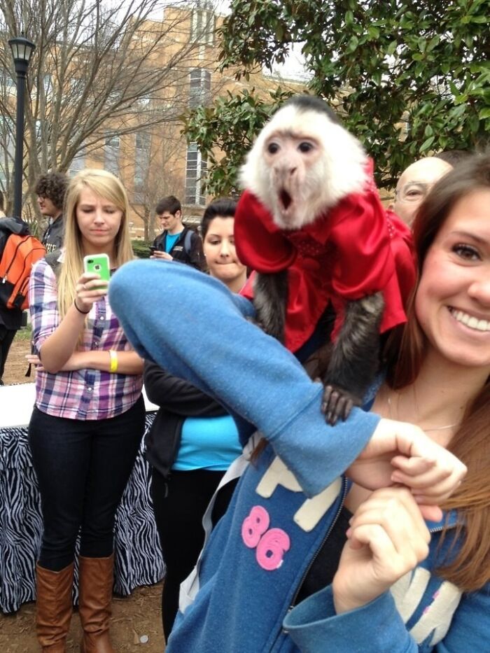A funny monkey in a red outfit making a surprised face while perched on a woman's arm outdoors.