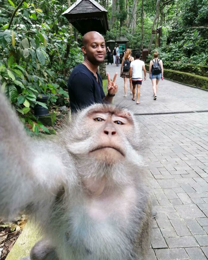 Funny monkey taking a selfie with a person posing in the background on a forest path.